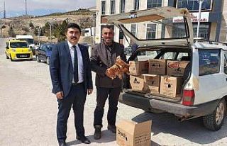 Hayvan sevgisi karşılıksız kalmadı