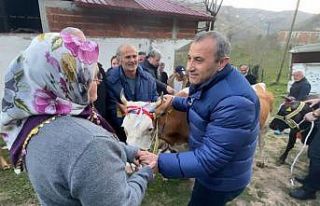 Heyelanda hayvanlarını kaybeden aileye Vali Sonel’den...