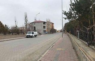 Iğdır’da "mavi dil" hastalığı tedirgin...