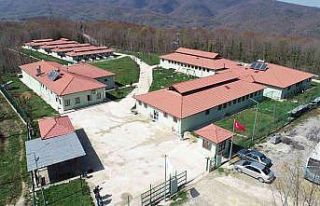 İlçelere sokak hayvanları üniteleri kurulacak