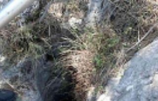 İtfaiye’den keçi kurtarma operasyonu