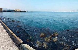 İzmir Körfezi’nde su seviyesi 80 santimetre düştü,...
