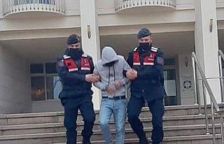 Jandarma, aranan 2 şahsı operasyonla yakaladı