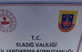 Jandarmadan tarihi eser operasyonu: 2 gözaltı