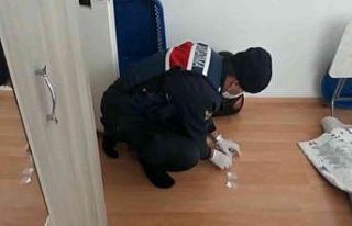 Jandarmanın operasyonunda halının altından uyuşturucu...