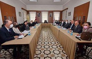 Kadına Yönelik Şiddetle Mücadele İl Koordinasyon,...