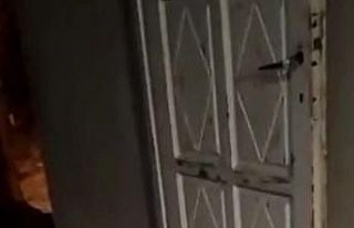Kapısına kadar gelen tilkiyi halı üstünde besliyor