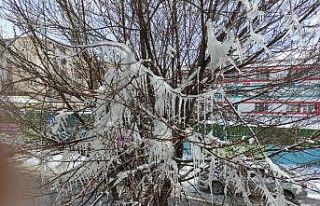 Kar yağışının ardından dondurucu soğuklar başladı