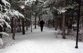 Kar, Yozgat Çamlığı Milli Parkı’nda seyrine...