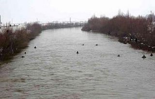 Karasu Nehri’nde kaybolan Yağmur için Murat Nehri’ne...