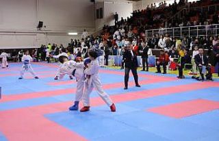 Karate grup müsabakaları Adıyaman’da yapıldı