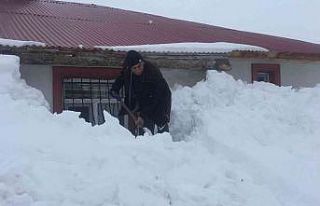Karlıova’da evler kara gömüldü