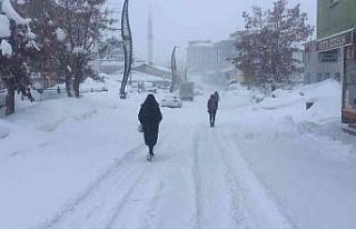 Karlıova’da kar çilesi bitmiyor