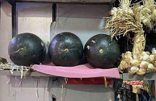 Karpuz tezgaha düştü, fiyatı dudak uçuklattı