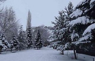 Kars’ta kar yağışı sürüyor