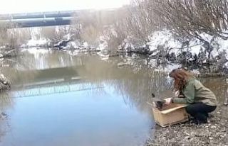 Kars’ta Sakarmeke’nin tedavisi tamamlandı