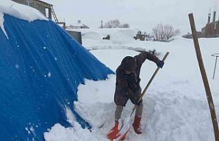 Kars’ta son 30 yılın en yoğun kışı yaşanıyor