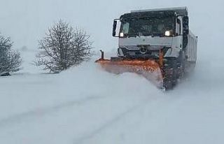 Kastamonu’da karın yollarını kapattığı 391...