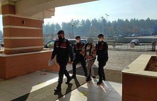 Kastamonu’da uyuşturucu operasyonu: 1 tutuklama