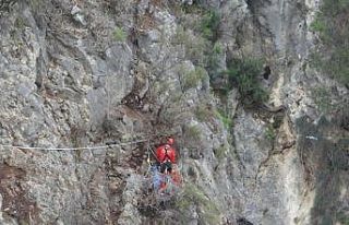 Kayalık alanda mahsur kalan keçileri AKUT kurtardı