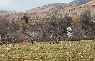Kayıp olarak aranan yaşlı adamın cesedi bulundu