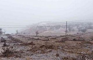 Kayısı bahçesinde çalışırken kara yakalandılar