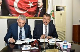 Kayısı çiçeği festivali için iş birliği protokolü