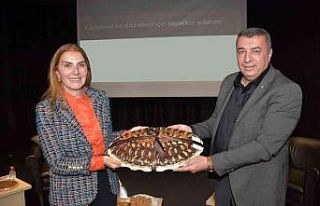 Kayısının sağlığa faydaları panelde anlatıldı