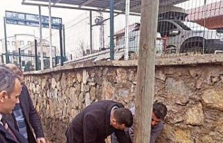 Keban Kaymakamlığı sokak hayvanlarını unutmadı