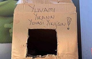 Kedi yuvasını tekrar yıkmasınlar diye bu çözümü...