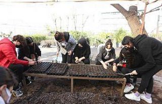 Kepez’de Ata tohumları fidana dönüşüyor