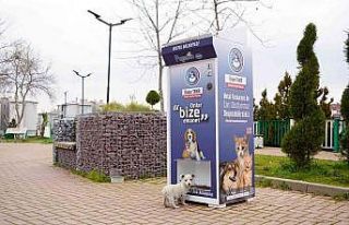 Kestel’de sokak hayvanları için ‘Mamamatik’...