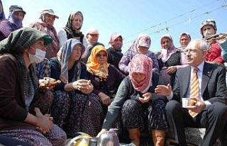 Kılıçdaroğlu kadın çiftçilerle bağda buluştu