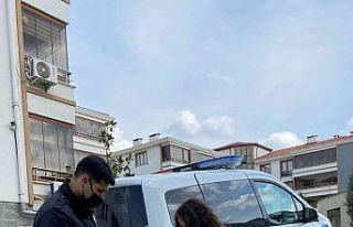 Kız çocuğunun dikkati anne kedinin hayatını kurtardı