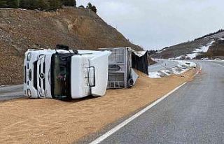 Kontrolden çıkan tır devrildi, 25 ton buğday yola...