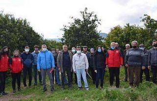 Köyceğiz’de üreticilere turunçgil yetiştiriciliği...
