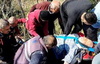 Koyun otlatırken kayalıklardan düştü