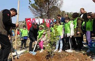 Kozan’da yanan ormanlar yeniden fidanla buluşuyor