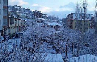 Kulp mart ayında yağan karla beyaza büründü