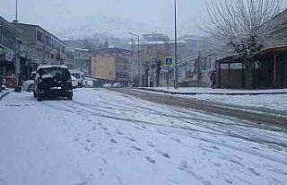 Kulp’ta kar yağışı başladı, okullar tatil...
