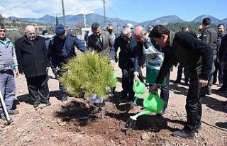 Kumluca’da 250 15 Temmuz Şehidi anısına 250 fidan...