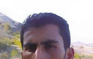 Kurt sandığı koyun sürüsünün sahibini kazara...