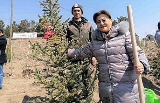 "Kütahya, orman ve tabiat varlığı bakımından...