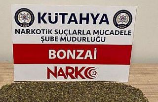 Kütahya’daki uyuşturucu operasyonuna 1 tutuklama