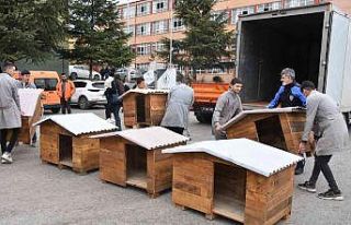 Lise öğrenciler can dostları için atıl ürünlerden...