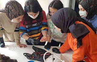 Lise öğrencileri kaz kalbi üzerinde deney yaptılar