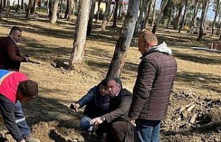 Lozan Sosyal Tesisi açılış için gün sayıyor