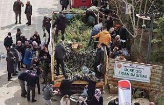 Malatya’da ücretsiz fidan