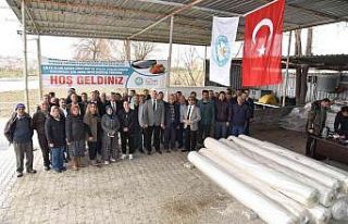 Manisa Büyükşehir Belediyesinden çilek üreticilerine...