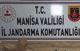 Manisa’da aslan heykeli ele geçirildi